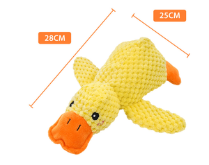 Pet Supplies